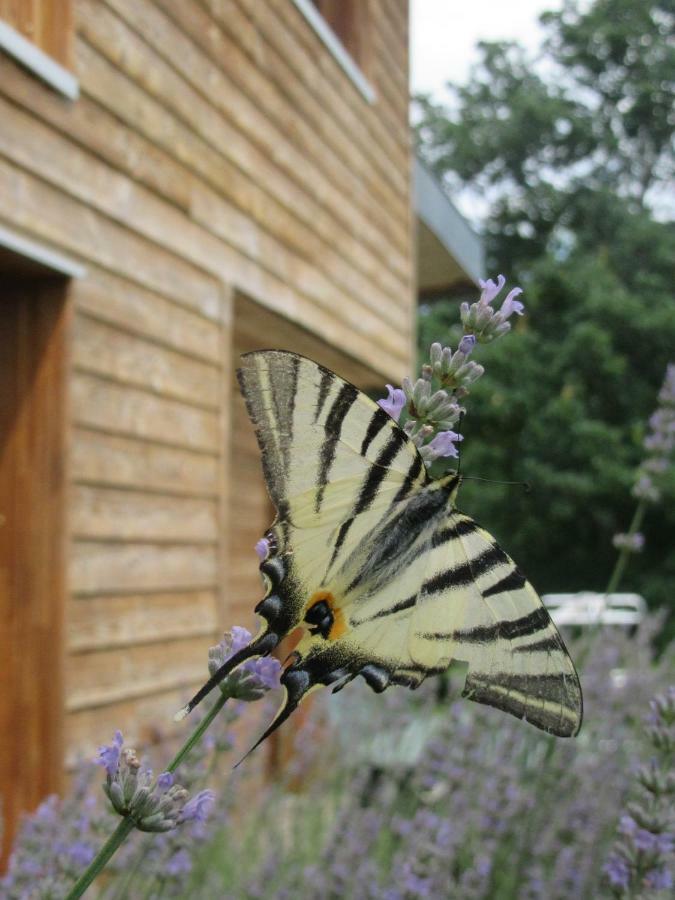 D'Une Autre Nature Mesland Zewnętrze zdjęcie